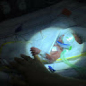 Meet your Posher, Rhea